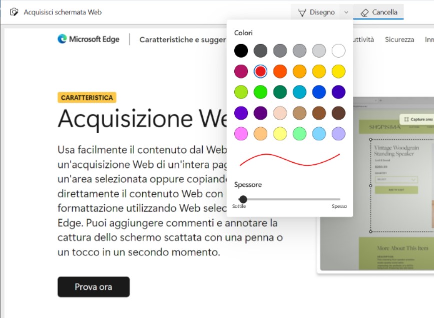 Disegno acquisizione web